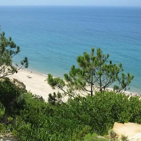 Charming Pied-a-terre In Rossio *